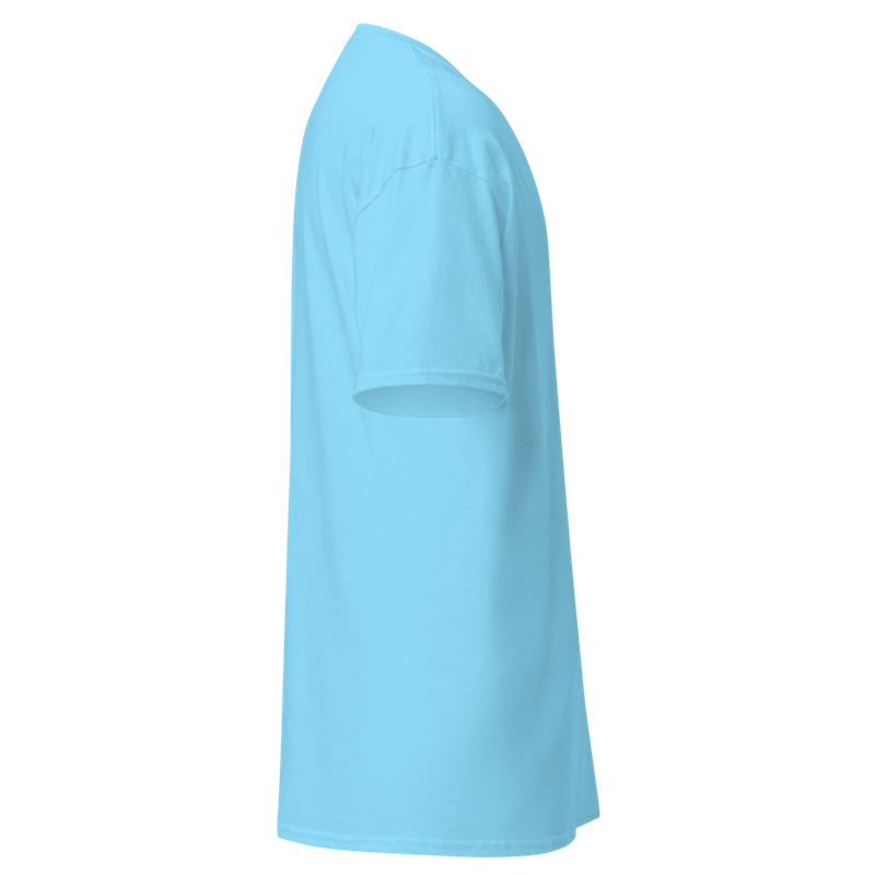 Everyday T-Shirt Single Print- Sky Blue